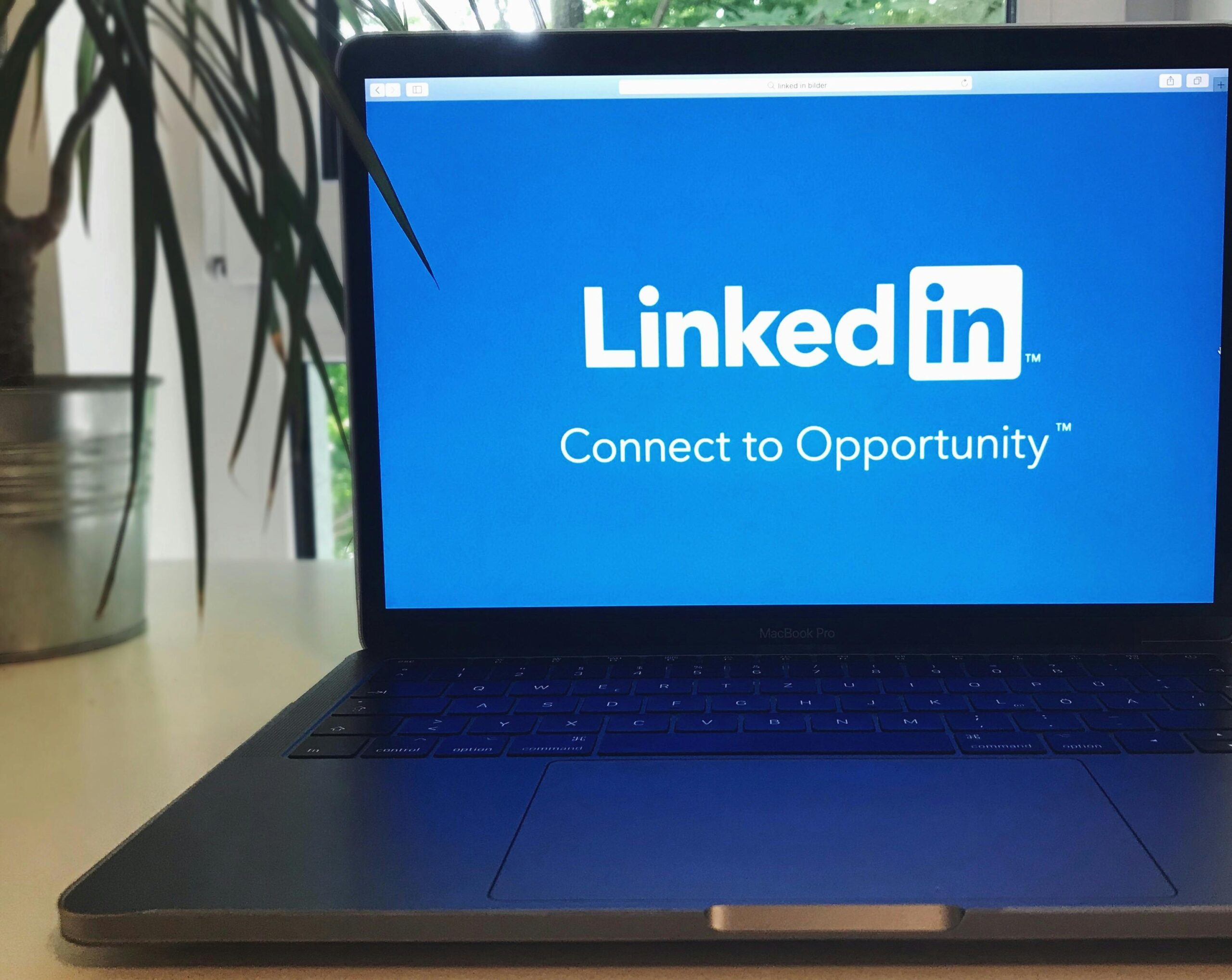 LinkedIn profile optimization | Create more connection through linkedin.